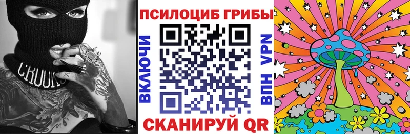 гидра ONION  где купить наркотик  Темников  Галлюциногенные грибы прущие грибы 